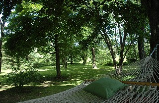 Hammock overlooking Lower Lawn Hammock overlooking Lower Lawn