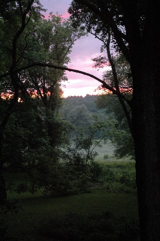 Evening Fog over the Meadow Evening Fog over the Meadow